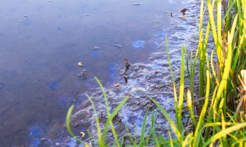 Ronioci će pokušati otkriti izvor izlijevanja nafte u Meksičkom zaljevu