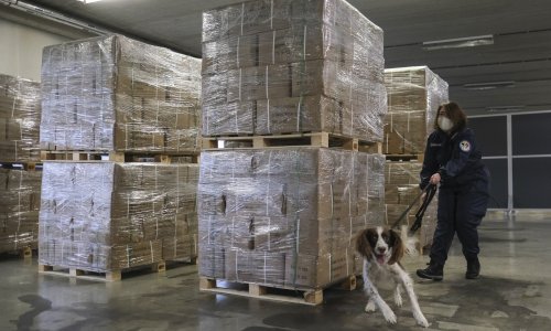 Tektonske promjene na europskom tržištu kokaina: Balkanci pomalo istiskuju talijansku mafiju, a mijenjaju se i rute kojima bijeli prah stiže na naš kontinent