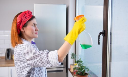Neka vaš dom zablista: Ovo su najbolji savjeti za čišćenje svih staklenih površina