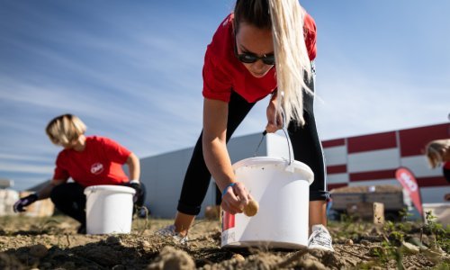 Intersnack Adria otkupljuje i do 15 tisuća tona krumpira za proizvodnju domaćeg čipsa