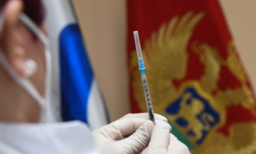 Od koronavirusa umrlo 0,3 posto populacije Crne Gore, najmlađa žrtva imala je tek 19 godina