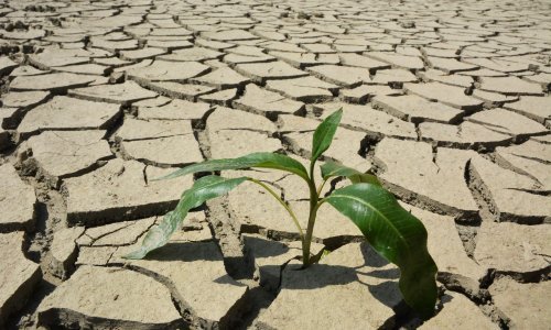 Svjetska banka: Klimatske promjene mogle bi izazvati masovne unutarnje migracije, posljedice će osjećati i istočna Europa