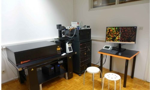 Prvi u Hrvatskoj: Na Institut Ruđer Bošković stigao 4,5 milijuna kuna vrijedan superrezolucijski mikroskop