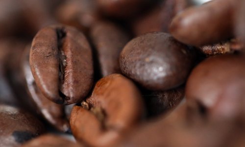 Problemi u logistici smanjili brazilski izvoz kave