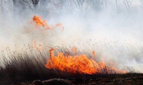 U Karlovcu pri spaljivanju pokošene trave umro 80-godišnjak