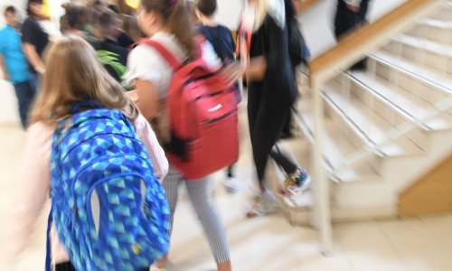 Kakav su uspjeh u pandemijskoj godini postigli hrvatski školarci; evo koliko je bilo odlikaša, a koliko 'nedovoljnih'