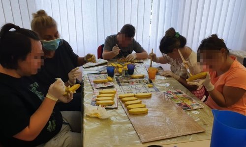 Utrka brodića na potoku Gradni u Samoboru s ciljem uključivanja djece s Down sindromom u društvo