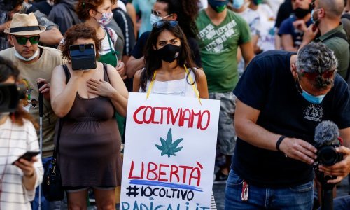 Za tjedan dana - pola milijuna potpisa: Talijani idu na referendum o legalizaciji marihuane