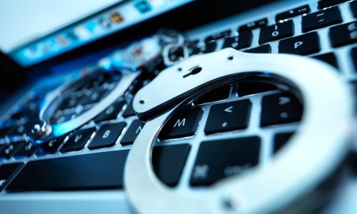 Kriminal se u Hrvatskoj za vrijeme pandemije s ulica preselio na internet, a došlo je i do porasta nasilja u obitelji