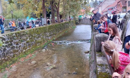 Održana prva utrka dječjih brodića na potoku Gradni u Samoboru