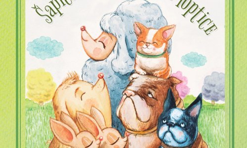 Druga slikovnica Slavka Sobina - 'Šapice i tajna zelene loptice'