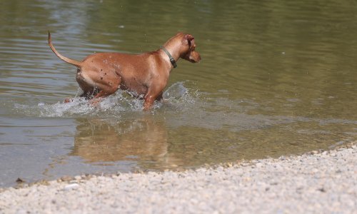 Prvi jesenski vikend donosi lijepo vrijeme - provjerite što kaže prognoza
