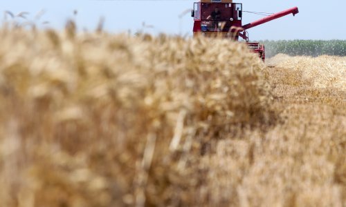 Strategijom poljoprivrede predviđen rast vrijednosti poljoprivredne proizvodnje na 30 milijardi kuna