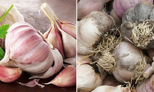 Kako u nekoliko sekundi prepoznati pravi domaći češnjak