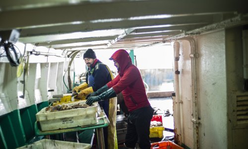 Francuska optužila Britaniju da ribare drži kao 'taoce' u političke svrhe