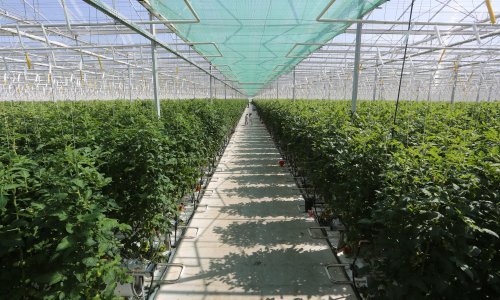 EK produljila rok i povisila potpore za ribarstvo i poljoprivrednu proizvodnju