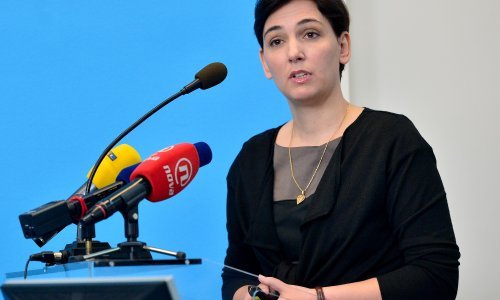 Znanstvenici pod vodstvom Ane-Sunčane Smith s Instituta Ruđer Bošković došli do potpuno novih spoznaja o staničnom tkivu