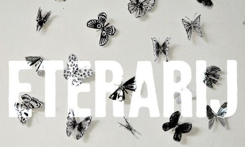 Riječki umjetnik Radovan Kunić u Galeriji Vladimir Bužančić predstavlja heterogenu prostornu priču pod nazivom 'Eterarij'