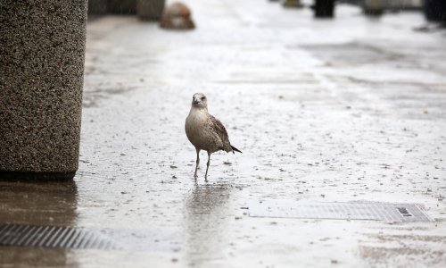 Pogoršanje vremena: Meteorolog poručuje - pripremite jesensku odjeću i kišobrane