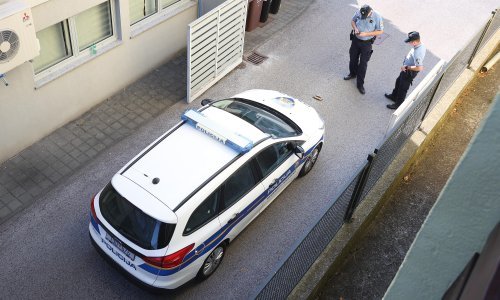 Kod Topuskog muškarac susjedu upucao psa zračnom puškom; dobio je kaznenu prijavu zbog ubijanja ili mučenja životinja