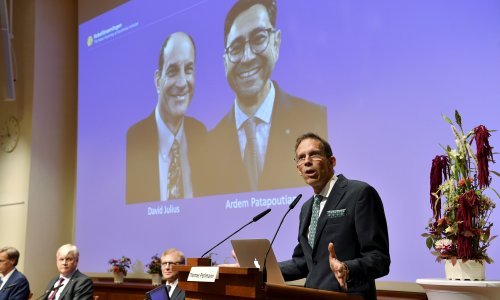 Amerikanci David Julius i Ardem Patapoutian dobitnici Nobelove nagrade za medicinu; otkrili kako živčani sustav osjeća temperaturu