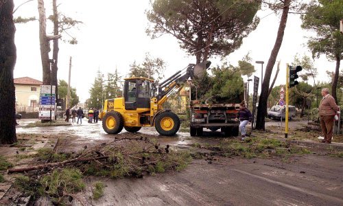 Cataniju pogodio 'tornado', zatvorene ceste, iščupana stabla
