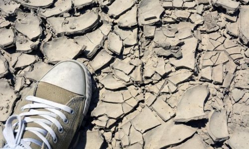 Predlažem: Navodnjavanje Slavonije riješiti radnim akcijama!