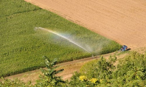Suša stvara sve više problema: Ne navodnjavamo dovoljno, a za to nemamo ni interesa