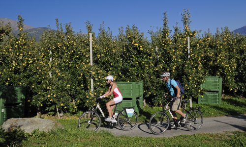 Njemački voćari se žale: Električni biciklisti nam masovno kradu voće!