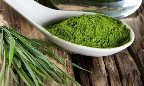 5 razloga DA ovoj iznimnoj zelenoj namirnici (supernamirnici) kažemo DA