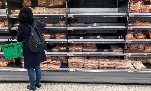 Kaos u opskrbnim lancima: Najgore tek dolazi