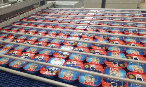 Eva sardine: Super hrana iz Jadrana