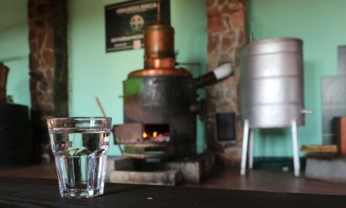 Vlada oslobodila plaćanja trošarina za male proizvođače jakih alkoholnih pića; Brodotrogiru jamstva za financiranje brodova