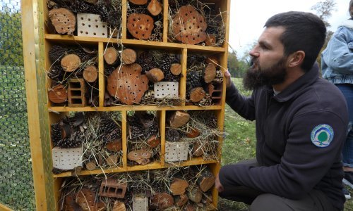 [FOTO/VIDEO] Neobični 'hotel' otvoren u Karlovcu, ali prima samo za jednu vrstu gostiju
