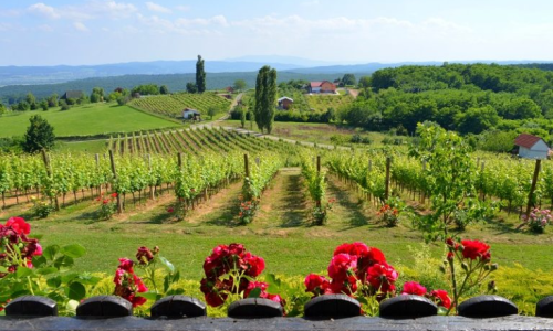 Iskoristite dane koji su pred nama i počastite se nezaboravnim izletom u Zlatnu dolinu. Očekuju vas nevjerojatne avanture!