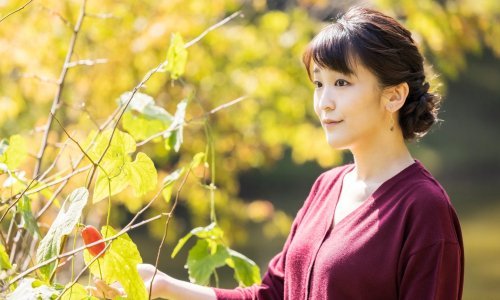 Princeza slavi 30. rođendan posljednji put kao članica carske obitelji uoči vjenčanja nakon čega postaje obična građanka