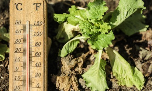 UN upozorava da će temperatura porasti za 2,7 stupnjeva s trenutnim ciljevima