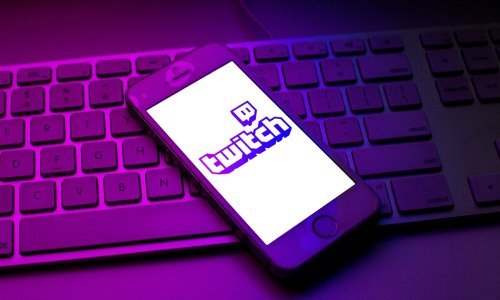Od kućnih ljubimaca do životinja u rezervatima: Twitch ima fantastičnu zabavu za kišne jesenske dane