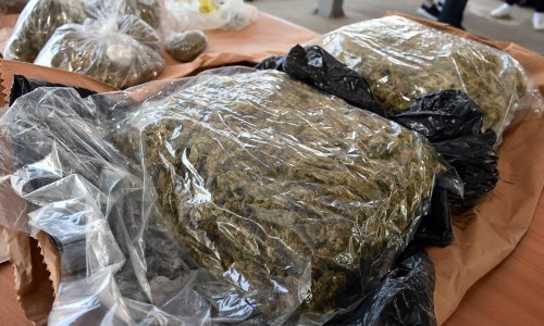 Zaplijenjeno 200 kilograma marihuane na jugoistoku BiH