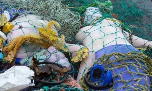 Sedam zadnjih godina najtoplije dosad: Nestaju ekosustavi i populacije planeta, stupamo na nepoznat teren