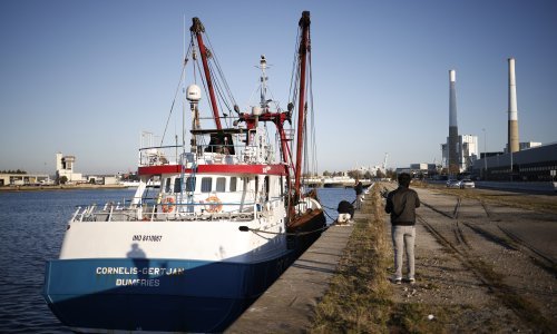 Francuska oslobodila britansku koćaricu