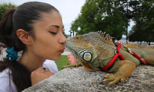 Prelijepa Zadranka izvela gmaza u šetnju