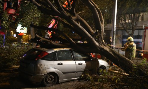 Nevrijeme protutnjalo Opuzenom i počupalo stabla