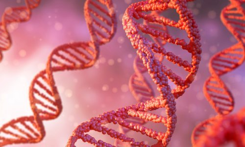 Britanski znanstvenici otkrili gen koji udvostručuje rizik od smrti od covida