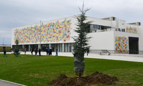 Predstavljen inovativni projekt nadoknade emisija CO2 sadnjom stabala