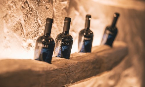 Jubilarna deseta berba: sve posebnosti Korlat vina