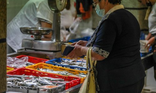 Ministarstvo poljoprivrede: Uključite ribu u školsku prehranu!