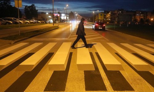 Karlovačka oporba optužuje HDZ da je preplatio 3D zebru