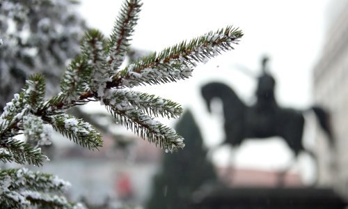 [FOTO/VIDEO] Na glavni zagrebački trg stigla božićna jelka, a njome počinje i Advent u Zagrebu 2021.