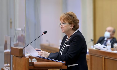 Zlata Hrvoj Šipek na rešetanju u Saboru: Umjesto da DORH diže optužnice, njih nam slažu razni Mamići, a Ivica Todorić se cereka iz Kulmerovih dvora